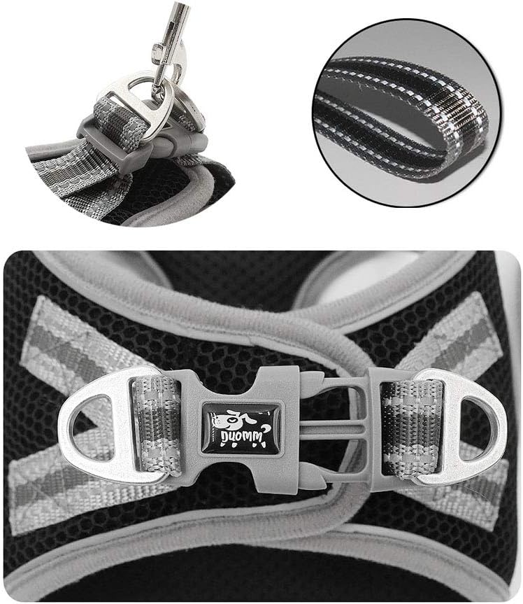 GHTMONY Dog Harness with Leash Set, Step-in Adjustable Anti-Slip Breathable Vest Harness with Leash Set for Small, Medium Dog Cat Outdoor Activity Accesories (L, Black)