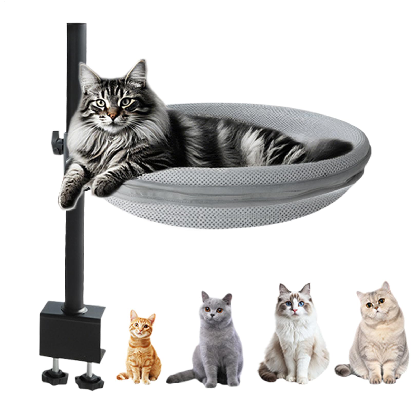Panier Pour Chat De Bureau Perchoir Amovible Pour Animal De Compagnie
