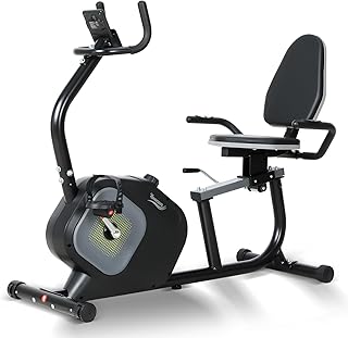 Cyclette da Seduta Magnetica, Cyclette Orizzontale con 16 Livelli di Resistenza Schermo LCD Supporto per Smartphone da Casa, NV-6301