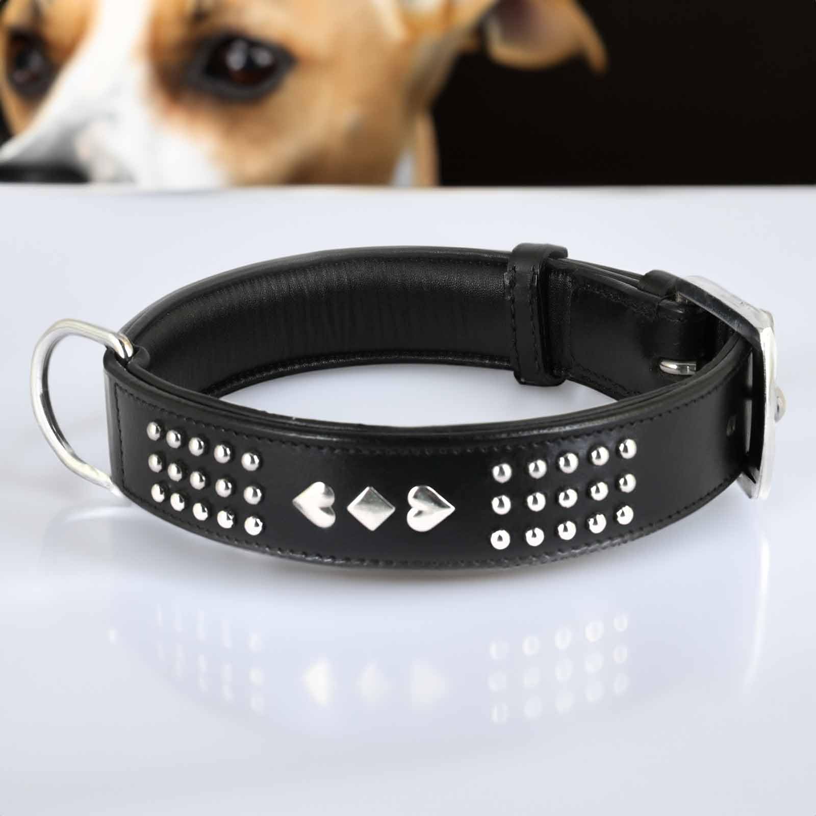Monkimau Collar para Perros, Collares de Perro de Piel Auténtica con Remaches Acolchado Ajustable (L-XL: 35 mm x 70 cm)