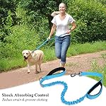 VIVAGLORY Pullsafe pour chien Pullesafe pour chiens avec 2 Poignée rembourrée & Double poignée pour la formation & Marcher, Bungee Anti Tir pour les animaux qui tirent, 4ft x 1in, bleu