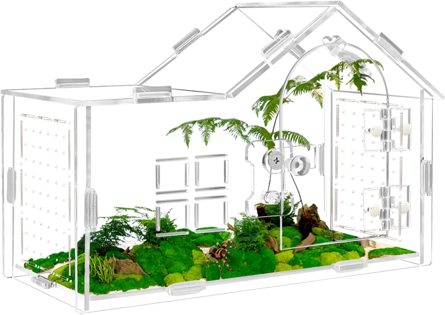 Acrylic Jumping Spider Enclosure with Double Compartments, Large Size,15.7 * 7.8 * 7.8 inches, Reptile Terrarium Aquarium Breeding Tank for Reptiles Spiders Snake Lizard