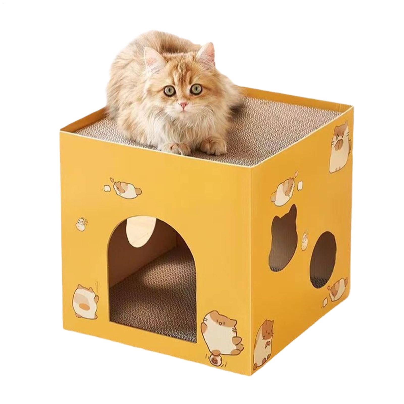 Boîte d'activités d'intérieur pour chat avec griffoir carton carré