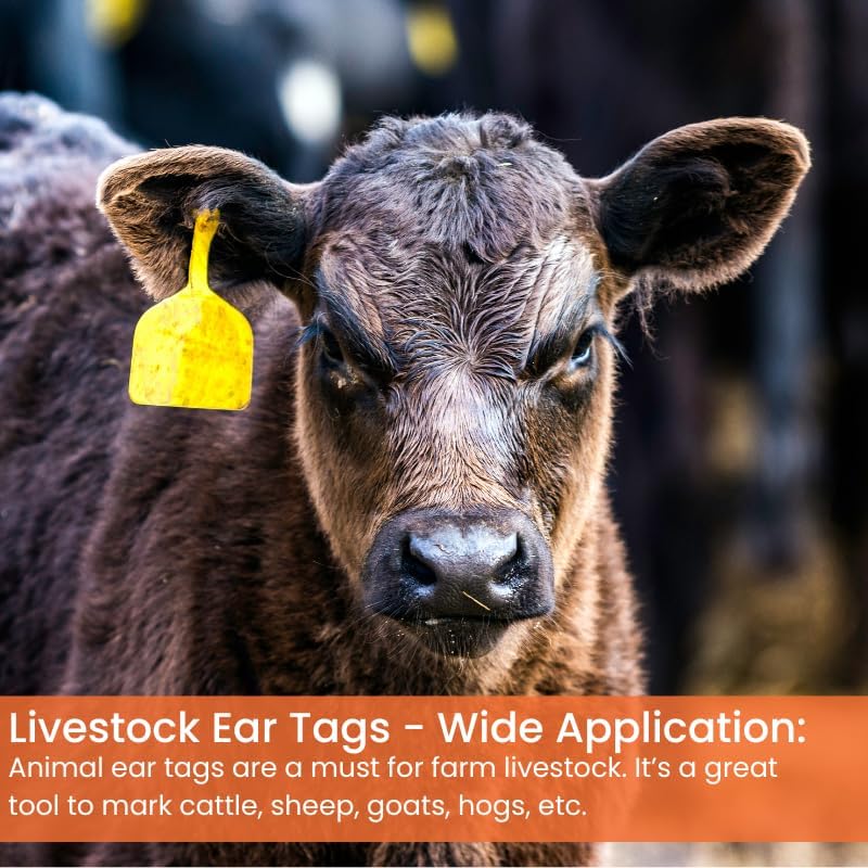 FerAppease® Cattle Stress Relief & Livestock Ear Tag Kit – 300ml Topical Calming Solution + 25 Pack Yellow Large Z-Type Ear Tags – Stress Reduction & Durable Livestock ID Combo for Cattle