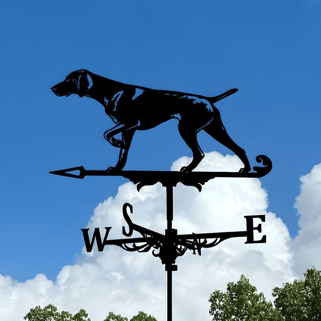 Retro Iron Rooster Weathervane Silhouette Art Black Metal Farm Horse Wind Vane Outdoors Decorations for Roof Yard Building Garden Lawn (9)