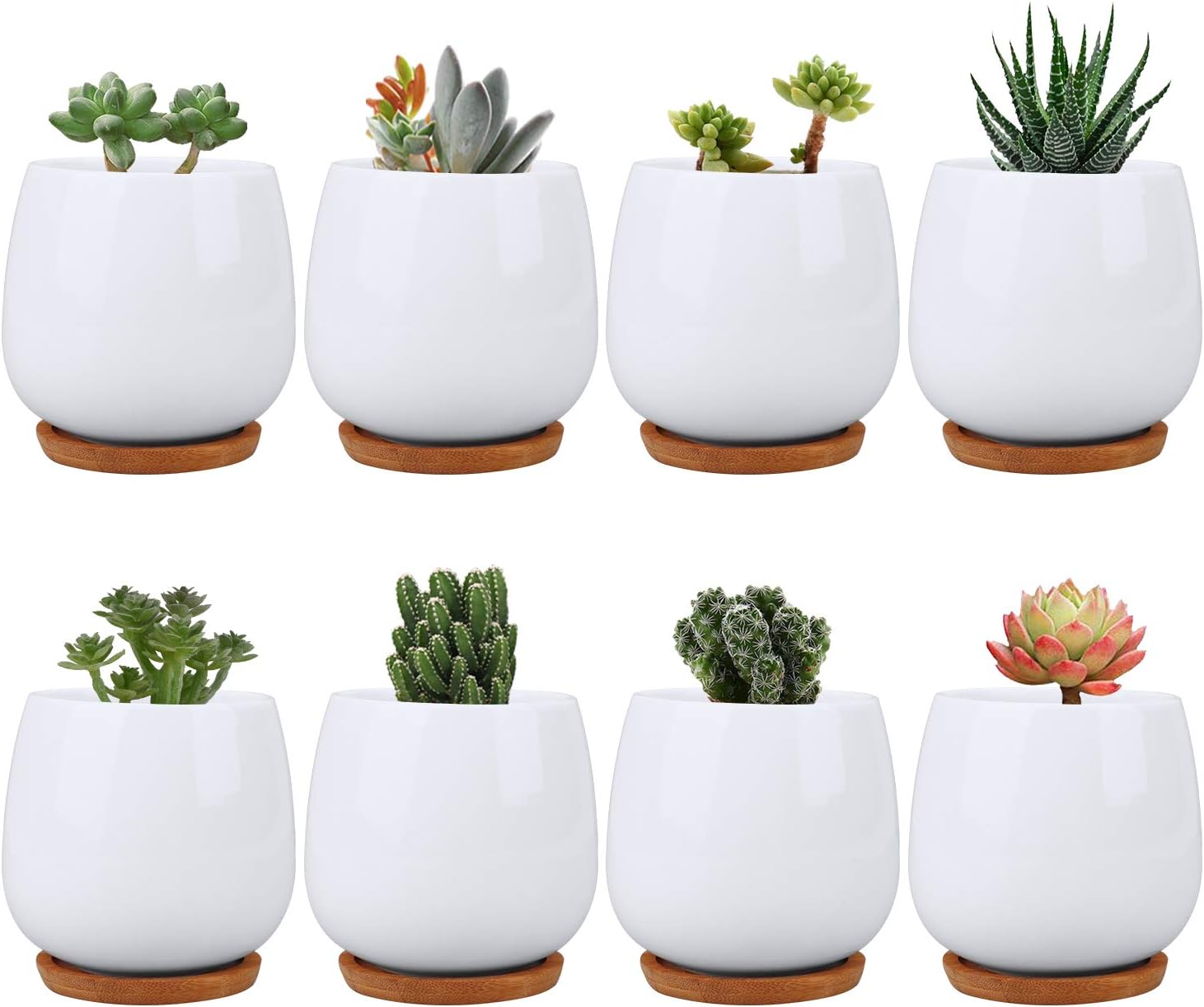Succluent Pots ，Small Flower Pots Planter Pots with Drinage,Ceramic Flowers Pots with Bamboo Tray for Cactus(