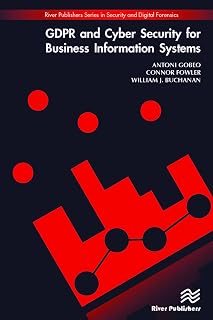 GDPR and Cyber Security for Business Information Systems (River Publishers Series in Security and Digital Forensics)