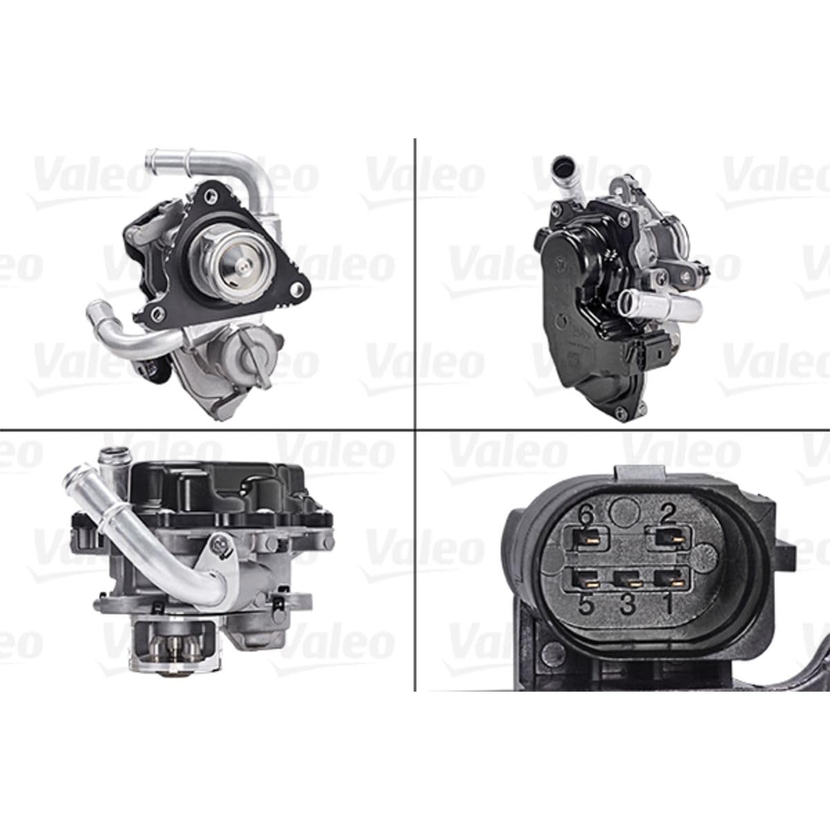 Valeo Válvula EGR 700454