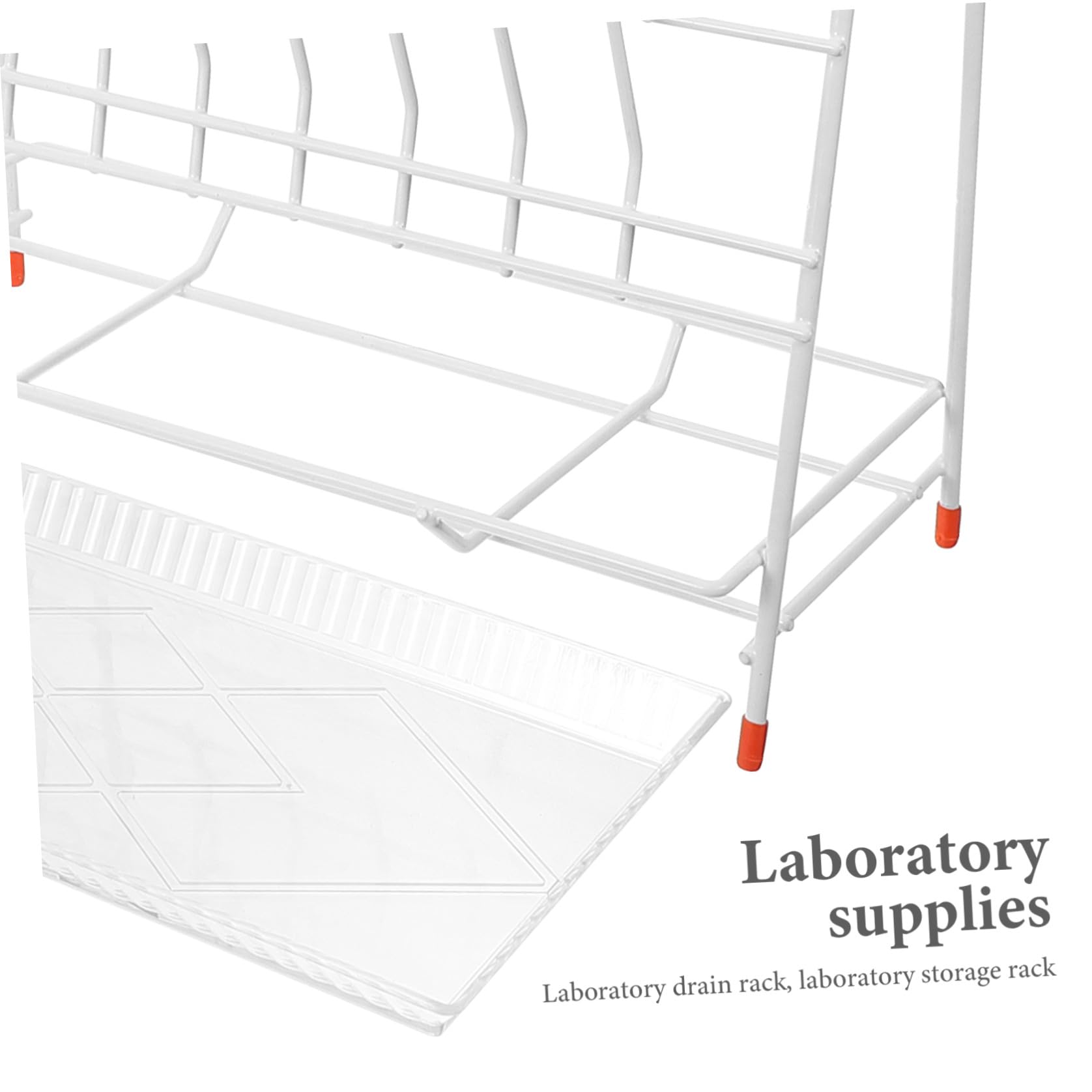 Stendino da Laboratorio in Ferro Bianco 32 Posti per Essiccazione Bottiglie e Provetta, Resistente per Asciugatura in Laboratorio