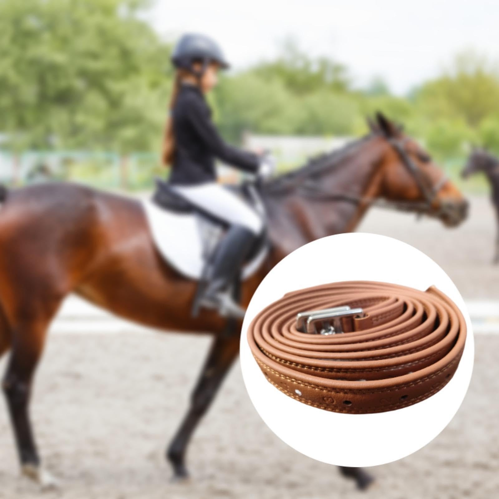 Juego de 2 Estribos con Hebillas de Acero Inoxidable, Longitud de 1.4 M, Equipo Ecuestre