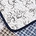 Cozy Line 100% Cotton Benjamin Plaid Quilt Sets Bedding Reversible Dinosaur Pattern 2-Pcs Bedspread Coverlet for Kids Boys, Twin Size