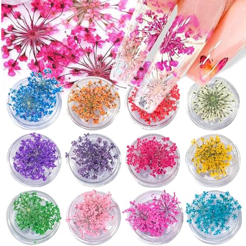 MOLILON 12 Boxes Dried Flowers for Nails, 3D Tiny Dried Flowers for Nail Art Flower Nail Stickers Little Pressed Real Natural Nail Art Flowers Design for DIY Decoration Resin Craft