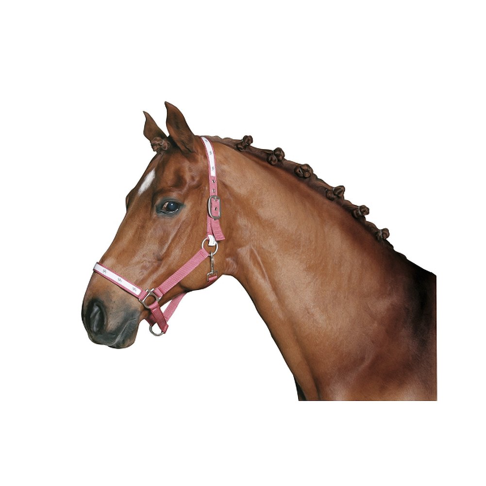 Kerbl Noir Mane Elastic (X800)
