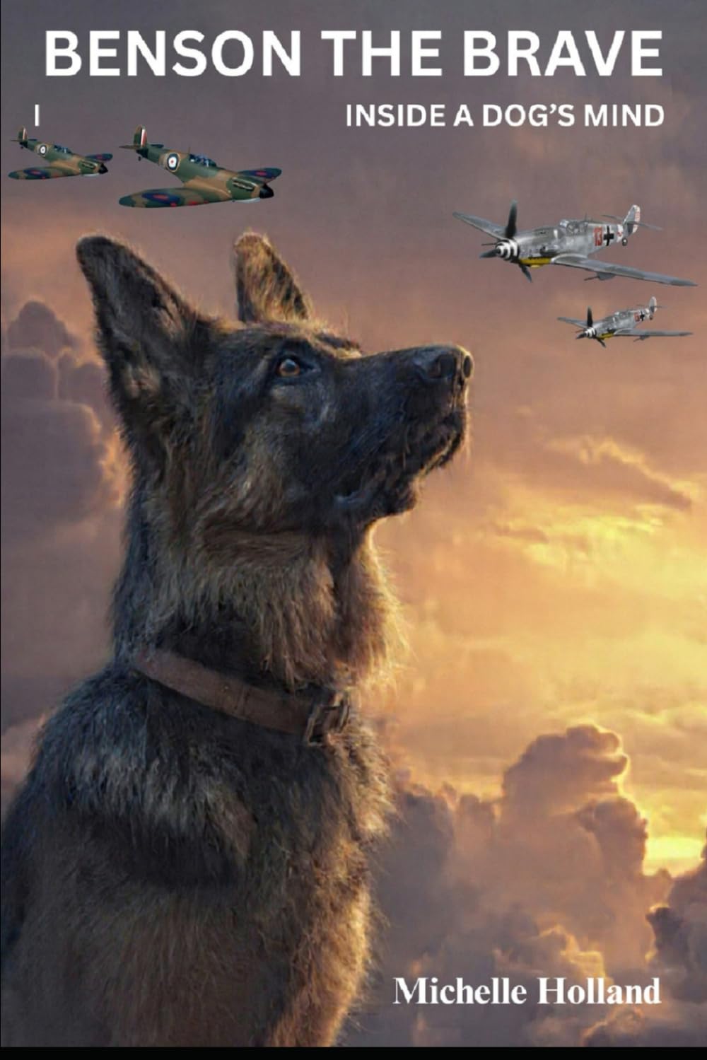 Inside a Dog’s Mind: Benson the Brave
