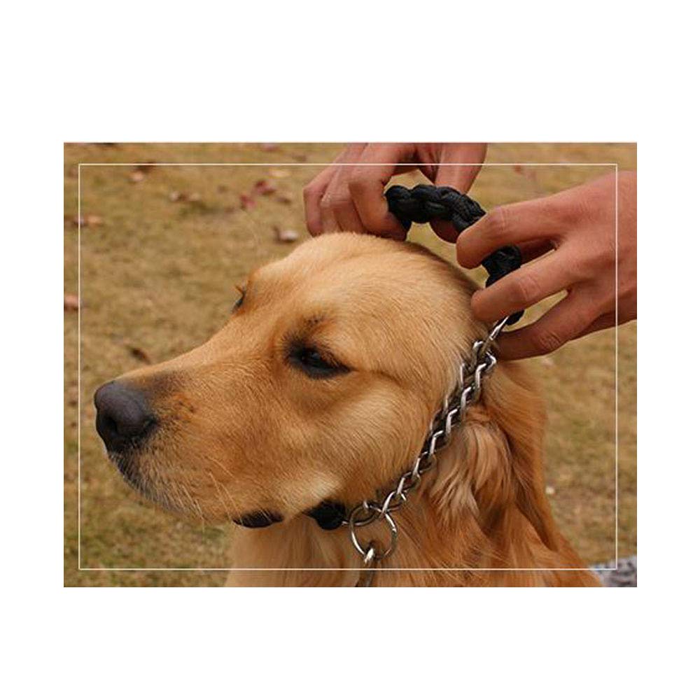 REYG Laisse De Dressage pour Chiens Laisse De Dressage pour Chiens à Double Extrémité pour Collier De Tête Et Harnais sans Tirette Laisse De Dressage Noire pour Petits Chiens Et Chiens,Black