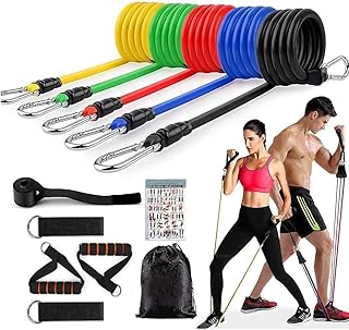 GOCART WITH G LOGO Resistance Bands, Exercise Bands Include 5 Different Levels Exercise Bands, Door Anchor, Foam Handles, Ankle Straps and Carrying Bag for Workout (Multi Color)
