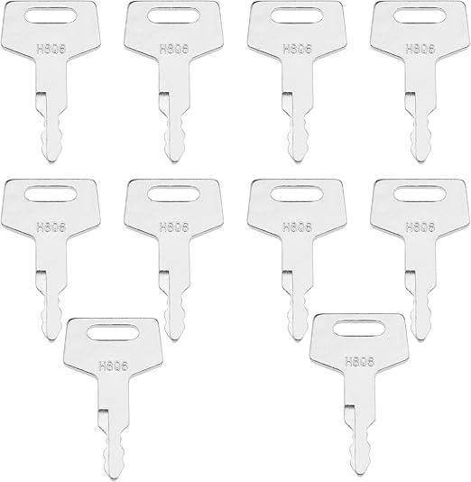 10Pcs Ignition Switch Keys Replacement H806 1700100019