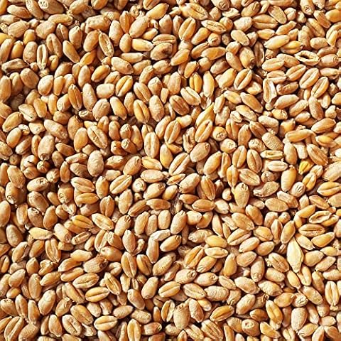 Weizen Futter 25 kg Hühnerfutter Nagerfutter Cover
