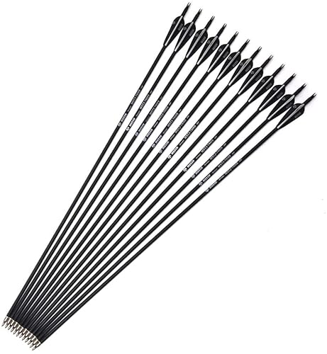 RoofWorld 32" Carbonpfeile, Spine 500 Schwarze und weiße Carbonpfeile für Outdoor-Schießen, Jagdübungen, geeignet für Recurve-/Compound-Bögen (12) Cover