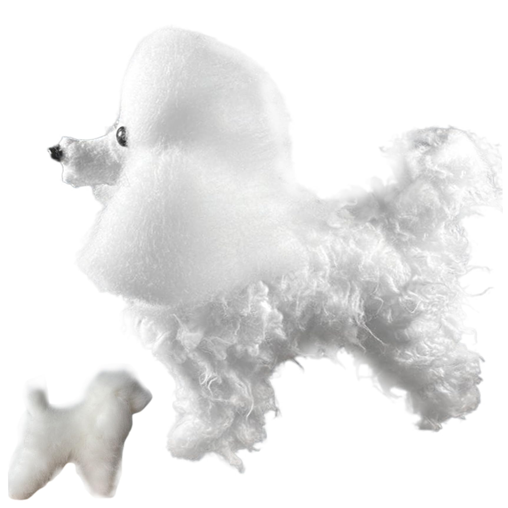 Perruque de chien caniche pour entrainement au toilettage professionnel