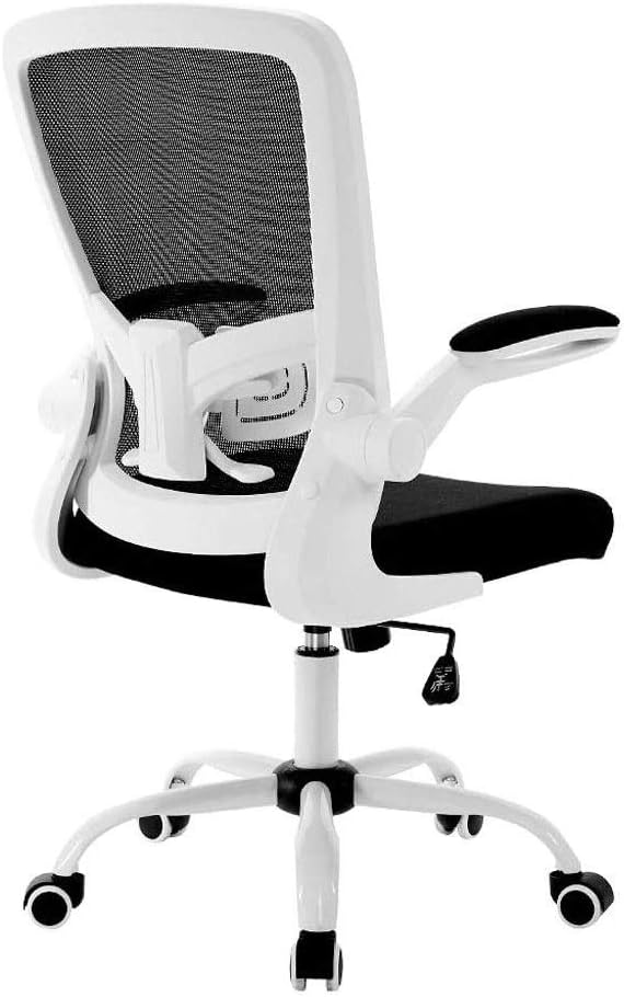 BAPYZ Mesh Swivel Ergonomic Task Office Chair with Computer