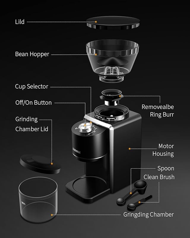 Conical Burr Coffee Grinder, Electric Coffee Bean Grinder for Precise Grinding, 35 Settings, 2–12 Cup Selector, Anti-Static Design for Home Use, Black