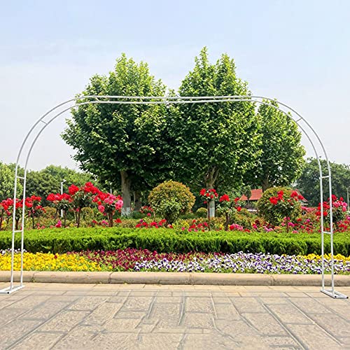 Arche de jardin en métal noir rustique pour rosiers et plantes grimpantes