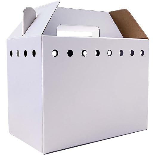 Cardboard Pet Carriers for Small Animals, Hamsters, Gerbils, Birds, Reptiles, Disposable Cardboard Pet Carrier 12 Pack