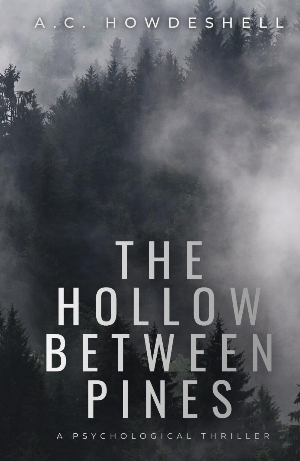 The Hollow Between Pines