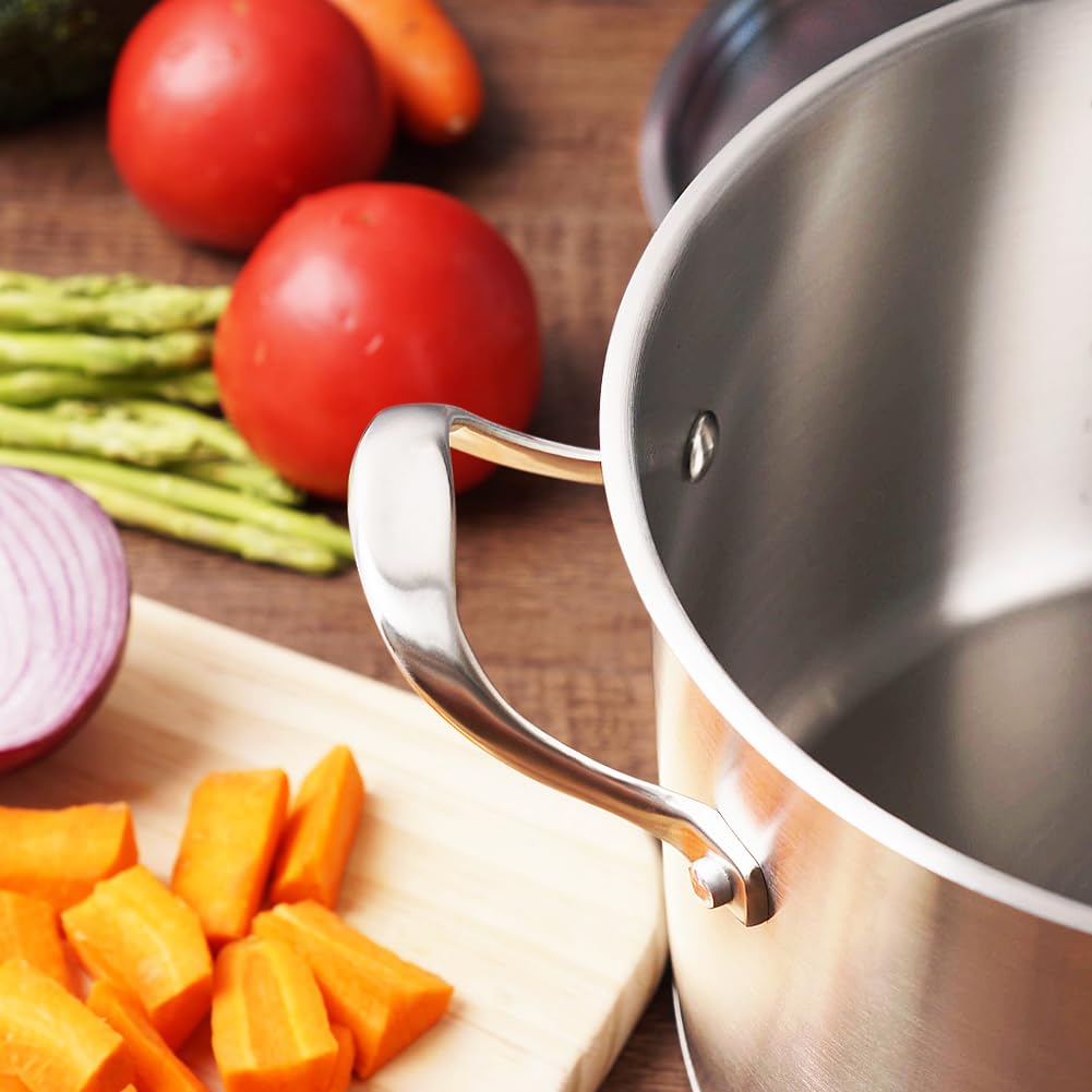 HOMICHEF Matte Olla de Acero Inoxidable Sin Níquel Pulido 3.2L Con Tapa (Sin Recubrimiento Tóxico Sin Palo, 20 CM Lado Recto)