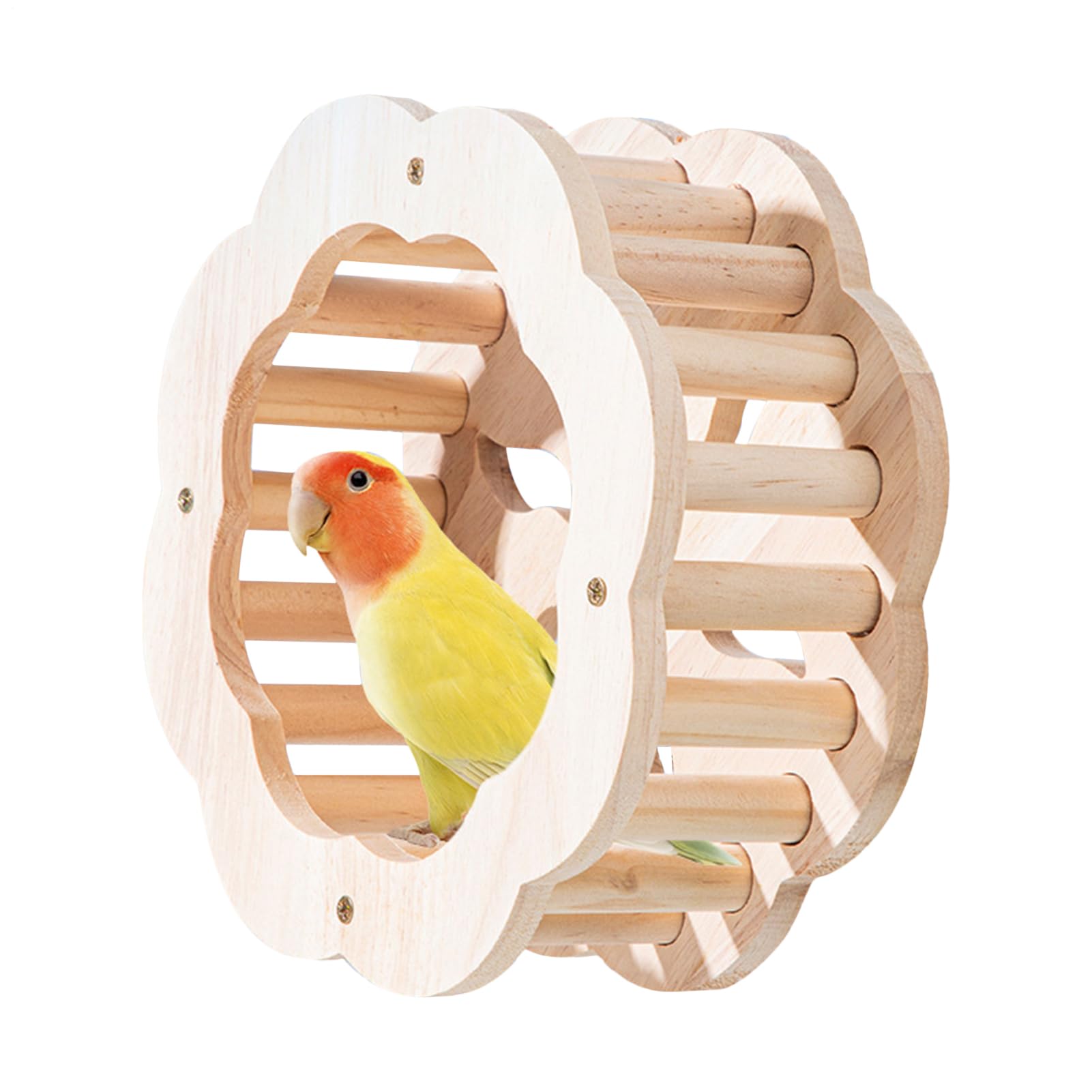 Perchoir rotatif en bois pour cage à oiseaux - Jouet pour inséparables, perruches et perroquets