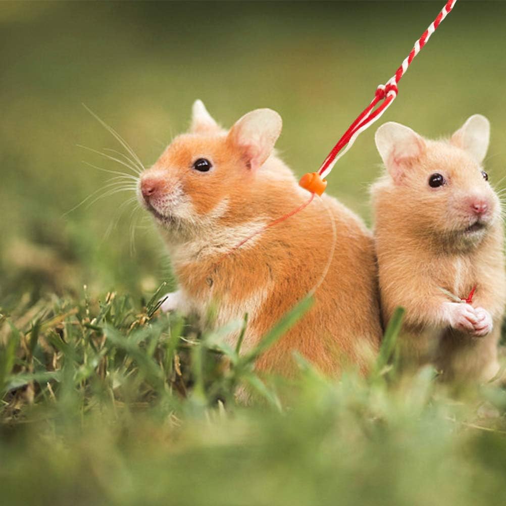 PAWCHIE Rope Leash for Small Animals - Adjustable Small Animal Collars Leash Walking Rope for Hamster, Guinea Pig, Chinchilla, Ferret, Squirrels, 2 Pack