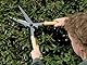 Spear & Jackson 4868SS Razorsharp Schere mit Holzgriff