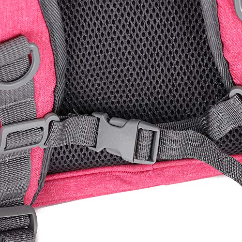 Mochila para animais de estimação, bolsa transparente para gatos, suprimentos para transporte de ani