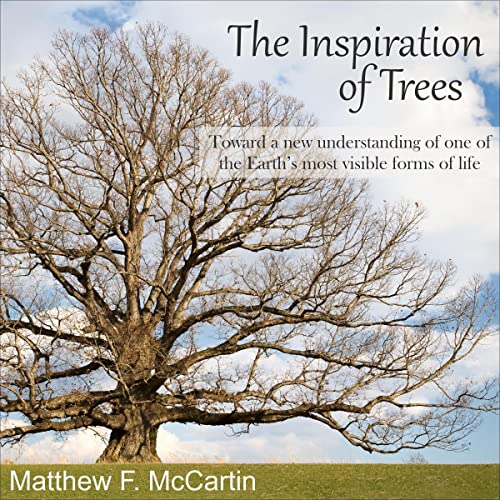 Explore Your Day With A Soul-Stirring Full Audiobook.