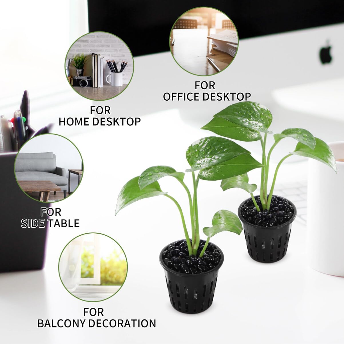 Yardwe 2pcs Black Hydroponic Plastic Mesh Planting Net Cups Soilless Culture Containers for Cactus and Flowers Lightweight for Indoor and Outdoor Use