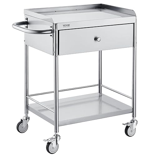 VEVOR Medical Cart, 2-Layer Stainless Steel Cart 220 lbs Weight Capacity, Lab Utility Cart with 360° Silent Wheels and a Drawer for Lab, Clinic,