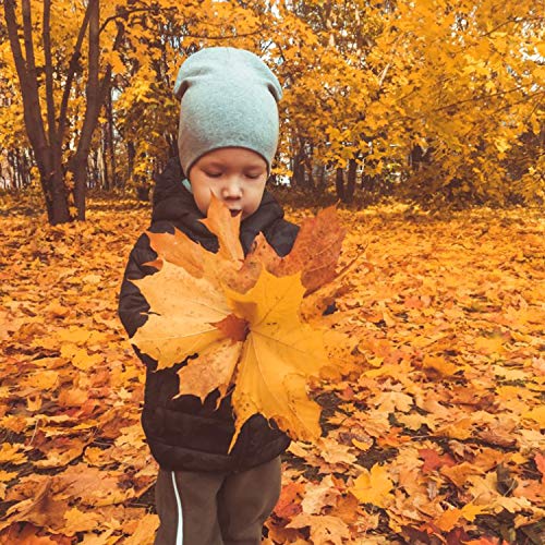 Dreshow Bqubo 8 Pack Baby Hat Beanies Infant Toddler Hats For Boys Newborn Soft Cute Knit Hospital Hats For Babies Boys Beanie Cap #TOP4