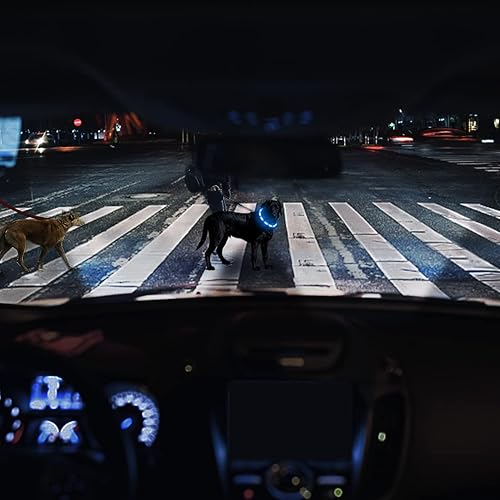 Miniatura 2 de Joytale Collar de perro con luz LED, recargable por USB, para seguridad nocturna, collar que brilla en la oscuridad para perros pequeños, medianos y