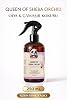 Queen of Sheba Orchid Oda ve Kumaş Spreyi 250 ml, Egzotik Orkide Kokusu, Tekstil Kokusu