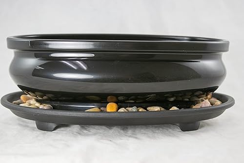 Miniatura 2 de Maceta de entrenamiento ovalada de plástico negro resistente de 9 pulgadas, maceta de cactus y suculentas + bandeja + combinación de roca + malla