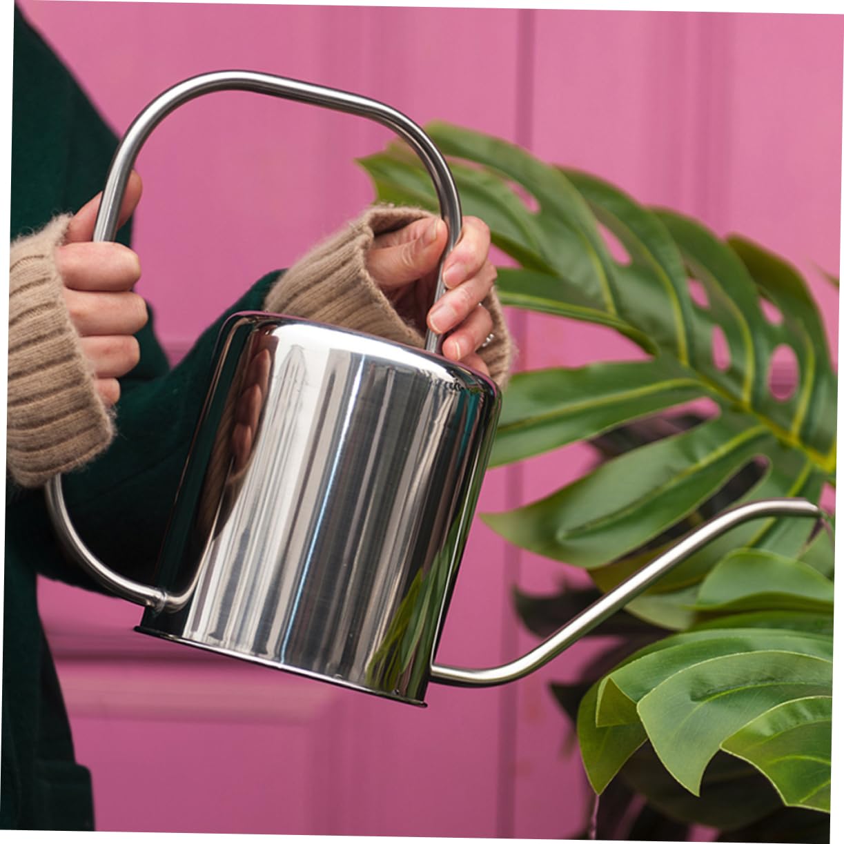 Kisangel 1 Pz Annaffiatoio Inossidabile con Becco per Piante e Strumento da Giardinaggio Vintage