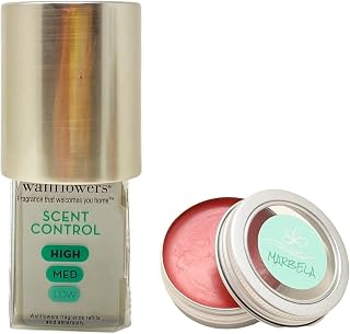 Bath & Body Works Silver Metallic Wallflowers Scent Control Fragrance Plug and a Strawberry Lip Balm