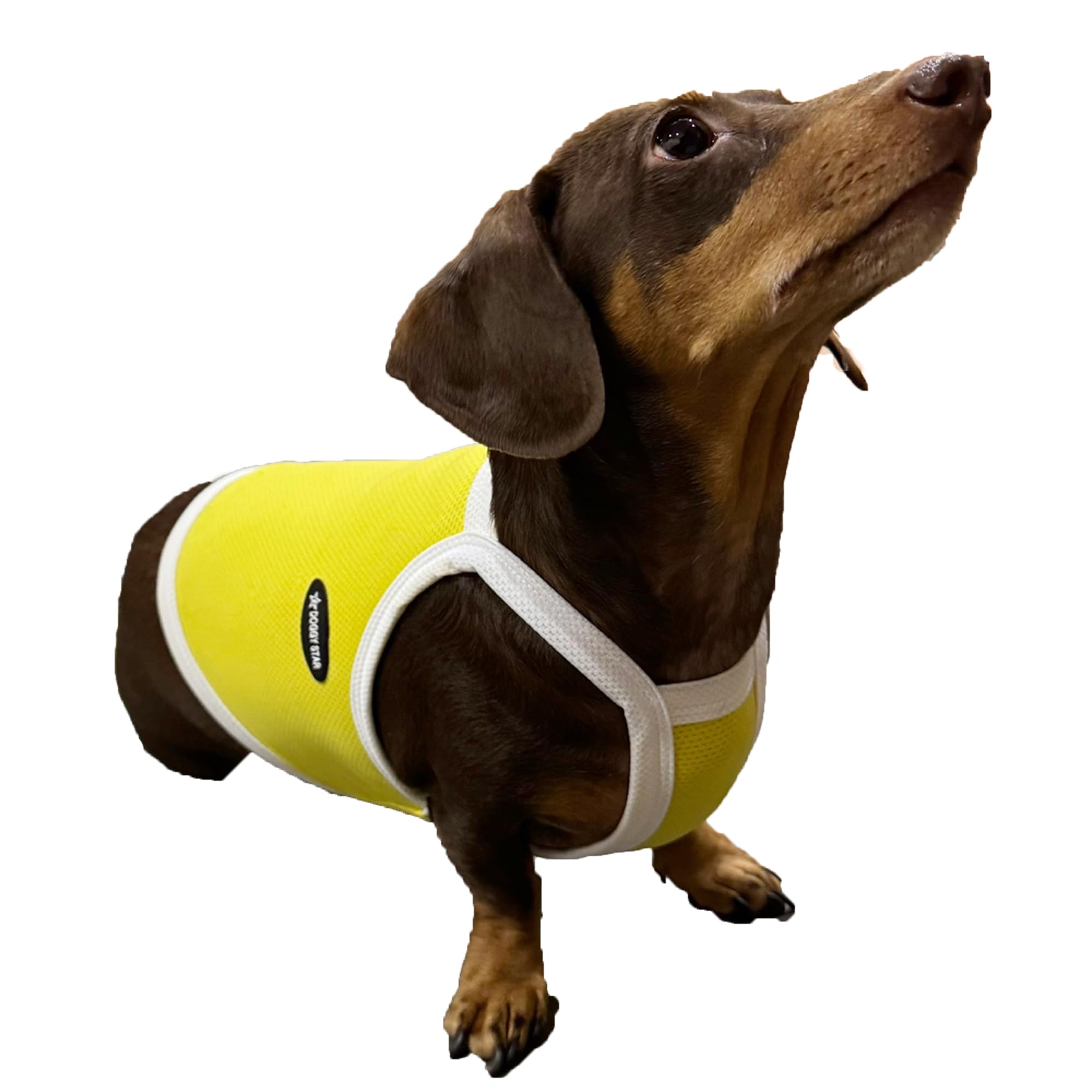 D Doggy Star Dachshund Clothes Spring Summer Cooling String T Shirt Crop Top for Dogs (M,Camisole Yellow)