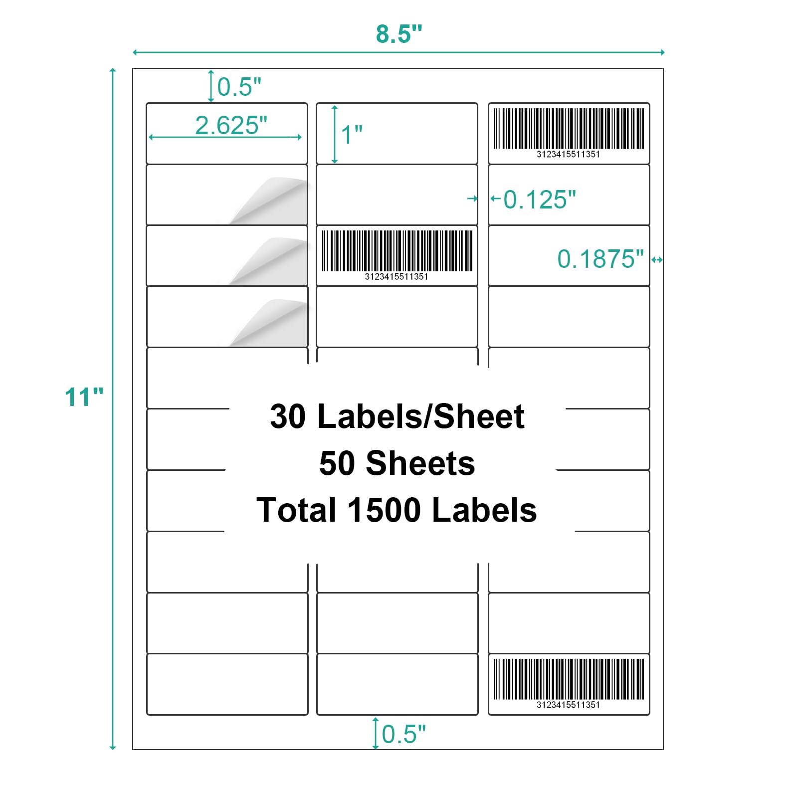 Label Jet Labels Snapklik.com : 1
