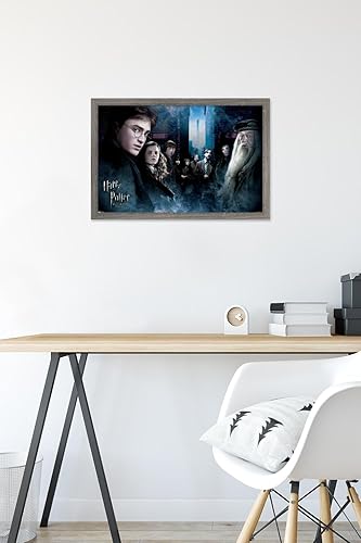 Vista 28 de Trends International Harry Potter y el príncipe mestizo - Póster de pared de la fraternidad, 22.375 x 34 pulgadas, versión premium sin marco