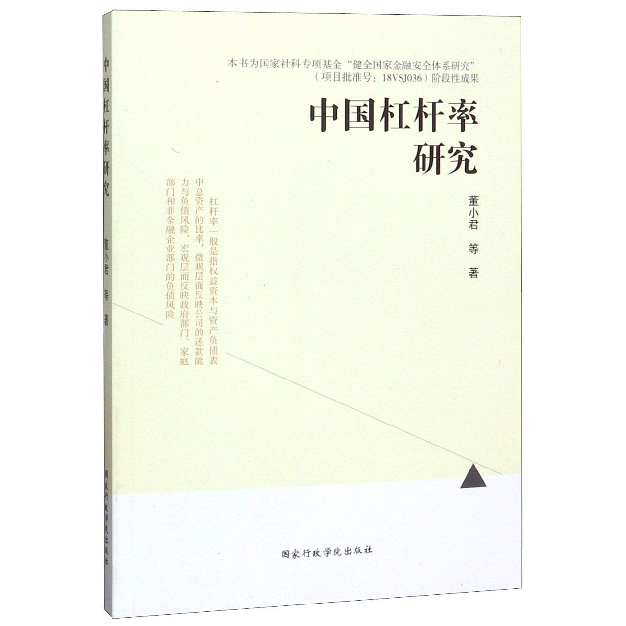 中国杠杆率研究: Amazon.sg: Books
