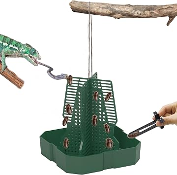 Chameleon Feeder+Bearded Dragon Feeder for Mounted Insect with Rope and Tweezers, Tank and Aquarium Accessories for Lizard, Bearded Dragon, Gecko, FrogMedium