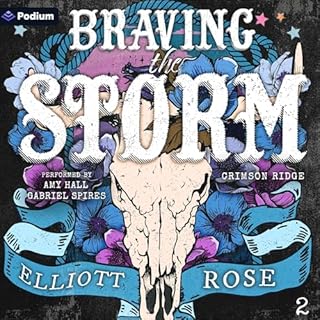 Page de couverture de Braving the Storm