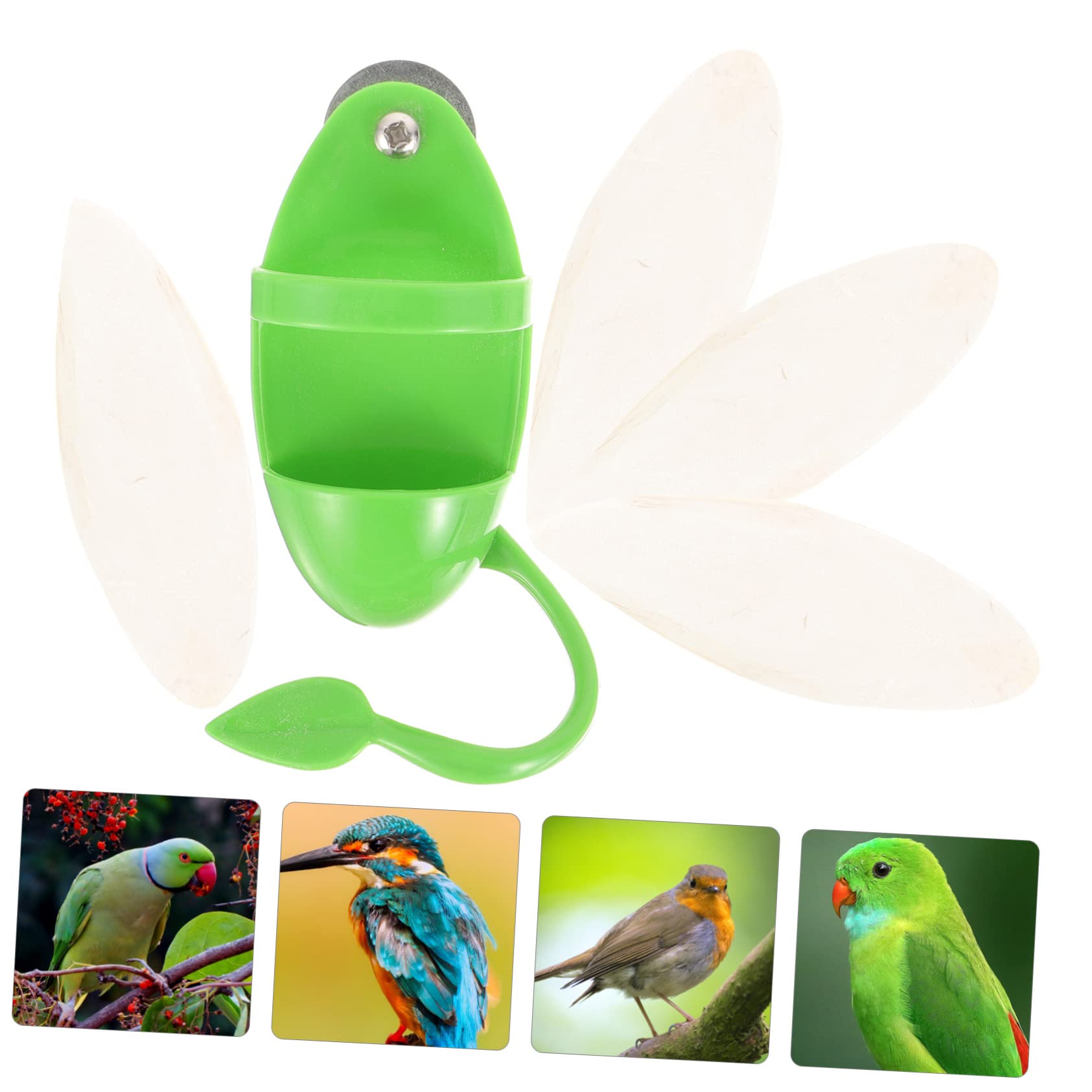 Toddmomy 5ensembles Support De Nourriture pour Perroquets avec Stand De Seiche Rack Pratique pour Oiseaux Accessoire De Nourriture pour Animaux De Compagnie avec De Seiche